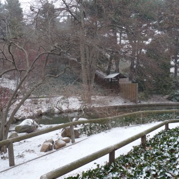 Brooklyn Botanic Garden 27