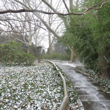 Brooklyn Botanic Garden 28