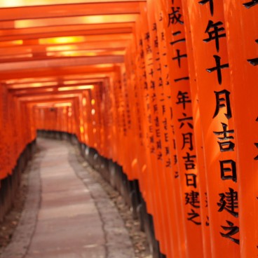 Fushimi Inari Taisha à Kyoto, Couloir de portes torii 6