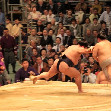 Tournoi de Sumo à Osaka, Joute de sumos 4