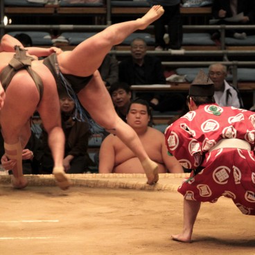 Tournoi de Sumo à Osaka, Joute de sumos