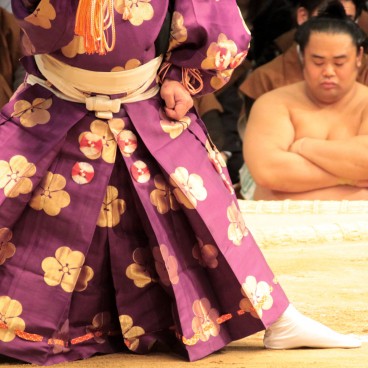 Tournoi de Sumo à Osaka, Détail de la posture d'un arbitre