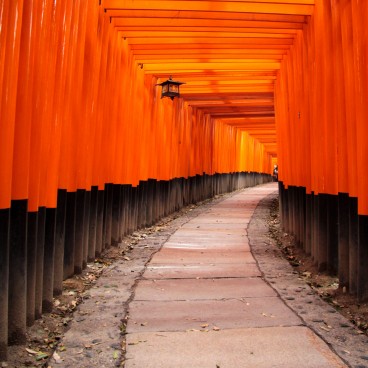 Fushimi Inari Taisha (Kyoto), tunnel de portes Torii
