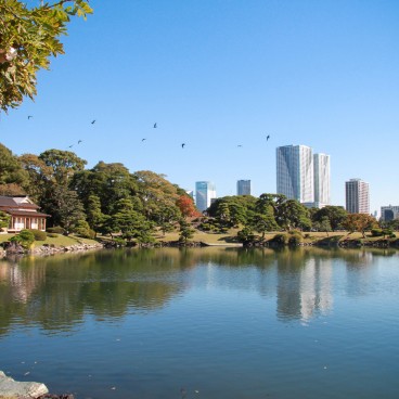 Jardin japonais Hama Rikyu à Tokyo