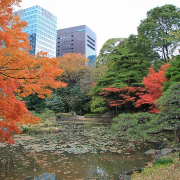 Jardin japonais Koishikawa Korakuen à Tokyo