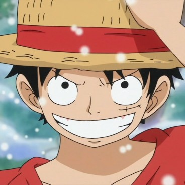 luffy-entrainement