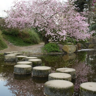 jardin-japonais-nantes-11