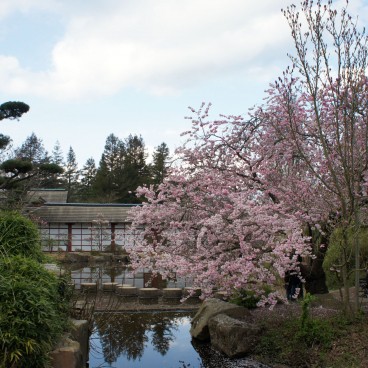 jardin-japonais-nantes-8