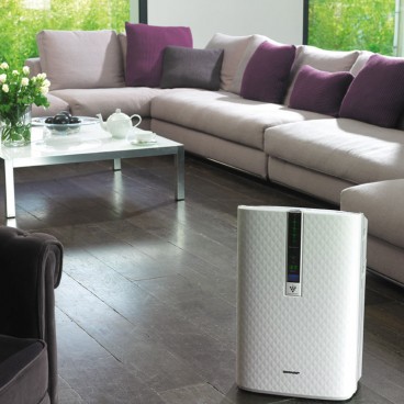 purificateur-air-pollen