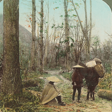 chujenji-nikko-japon-ancien