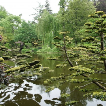 jardin-japonais-maulevrier-11