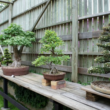 jardin-japonais-maulevrier-18