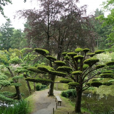 jardin-japonais-maulevrier-4