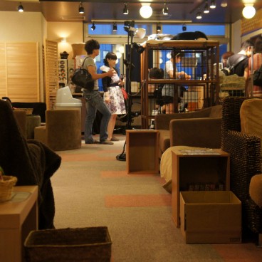 neko-cafe-nekorobi-ikebukuro