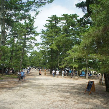 Amanohashidate, traversée à pied du bras de terre sous les pins