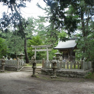 Amanohashidate, petit sanctuaire sous les pins