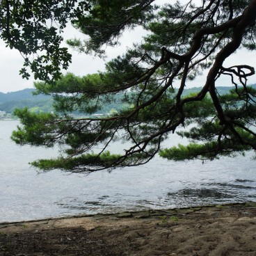 Amanohashidate, pin et plage de sable blanc