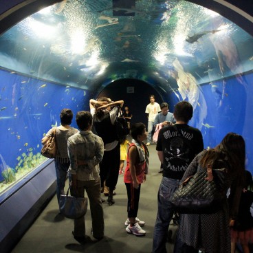 Aquarium Kaiyukan (Osaka), tunnel aquatique à l'entrée