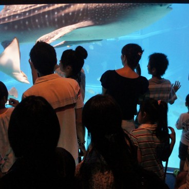 Aquarium Kaiyukan (Osaka), spectateurs en visite 2