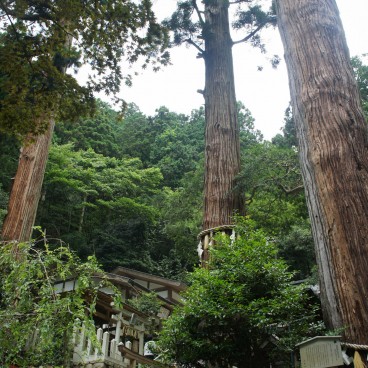 Mont Kurama, Chemin de randonnée 2