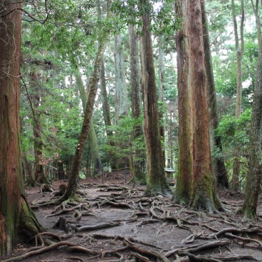 Mont Kurama, Chemin de Kibune