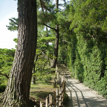 Ritsurin Koen (Takamatsu), Allée bordée de pins