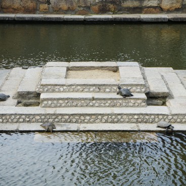 Shitenno-ji (Osaka), Tortues