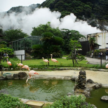 Jigoku Meguri à Beppu, Zoo à Yama-jigoku