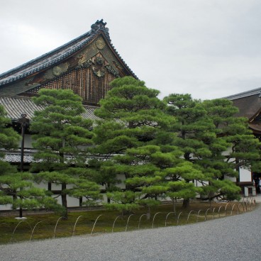 Château de Nijo (Kyoto), Vue sur le Palais Ninomaru 2