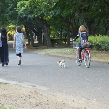 Parc Yoyogi à Tokyo, Promeneurs et cyclistes
