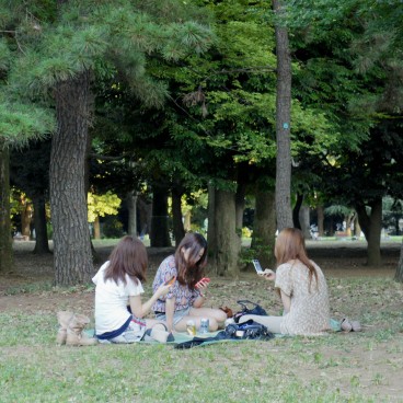 Parc Yoyogi à Tokyo, Jeunes femmes pique-niquant avec leurs smartphones