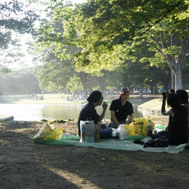 Parc Yoyogi à Tokyo, Groupe de Japonais pique-niquant sous un arbre