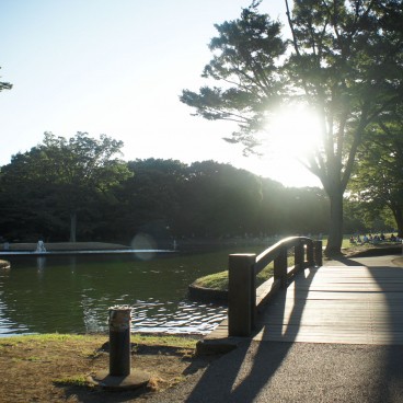 Parc Yoyogi à Tokyo, Pont de bois traversant un cours d'eau