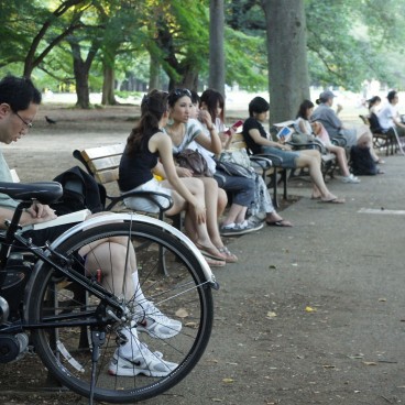 Parc Yoyogi à Tokyo, Visiteurs profitant d'une pause à l'ombre