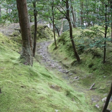 Ginkaku-ji, Jardin de mousse
