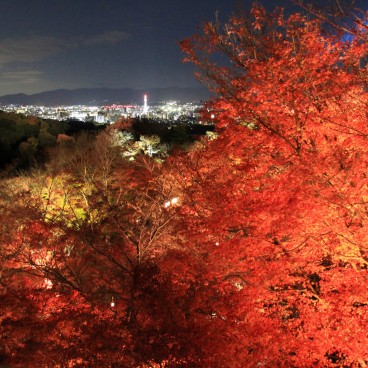 Kiyomizu-dera, light-up en période de momiji avec vue sur Kyoto