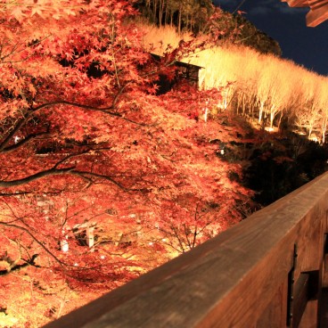 Kiyomizu-dera, plateforme du pavillon principal lors d'un light-up momiji 2
