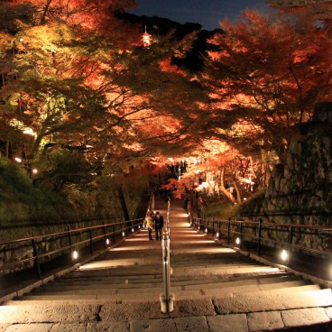 Kiyomizu-dera, Escalier lors d'un light-up momiji