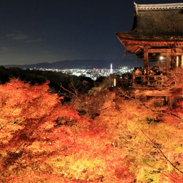 Kiyomizu-dera, light-up en période de momiji 10
