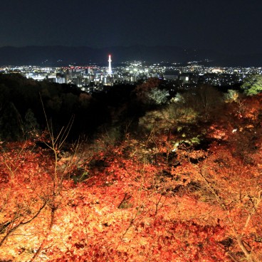 Kiyomizu-dera, light-up en période de momiji avec vue sur Kyoto 2