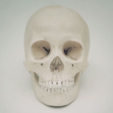 matou-isamu-hirabayashi