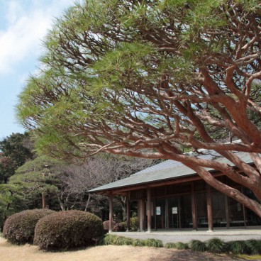 Shinjuku Gyoen (Tokyo), Pavillon de repos