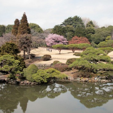 Shinjuku Gyoen (Tokyo), Vue sur le jardin japonais aux 1ères floraisons à la fin de l'hiver