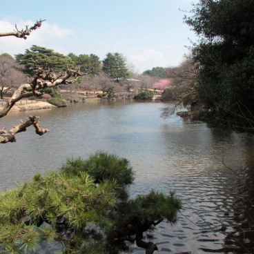 Shinjuku Gyoen (Tokyo), Vue sur le jardin japonais aux 1ères floraisons à la fin de l'hiver 2