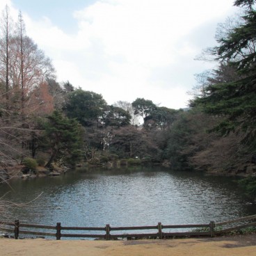 Shinjuku Gyoen (Tokyo), Vue sur le jardin japonais à la fin de l'hiver