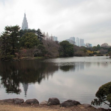 Shinjuku Gyoen (Tokyo), Vue sur le jardin et les immeubles du quartier