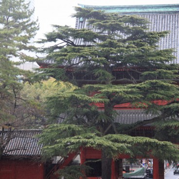 Zojo-ji à Tokyo, Porte principale Sangedatsu-mon