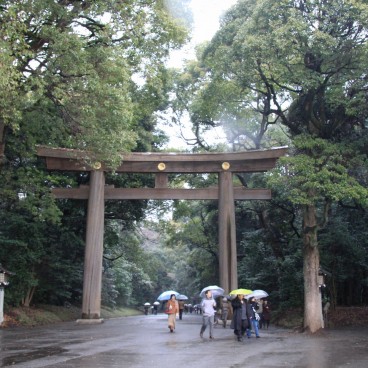 Meiji-jingu, Grand Torii 2