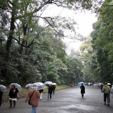 Meiji-jingu, Grande allée menant au sanctuaire