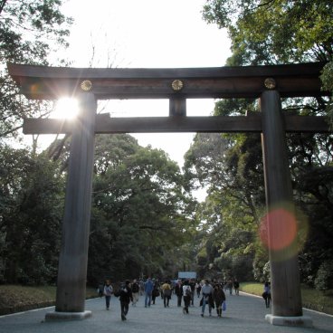 Meiji-jingu, Grand Torii 5